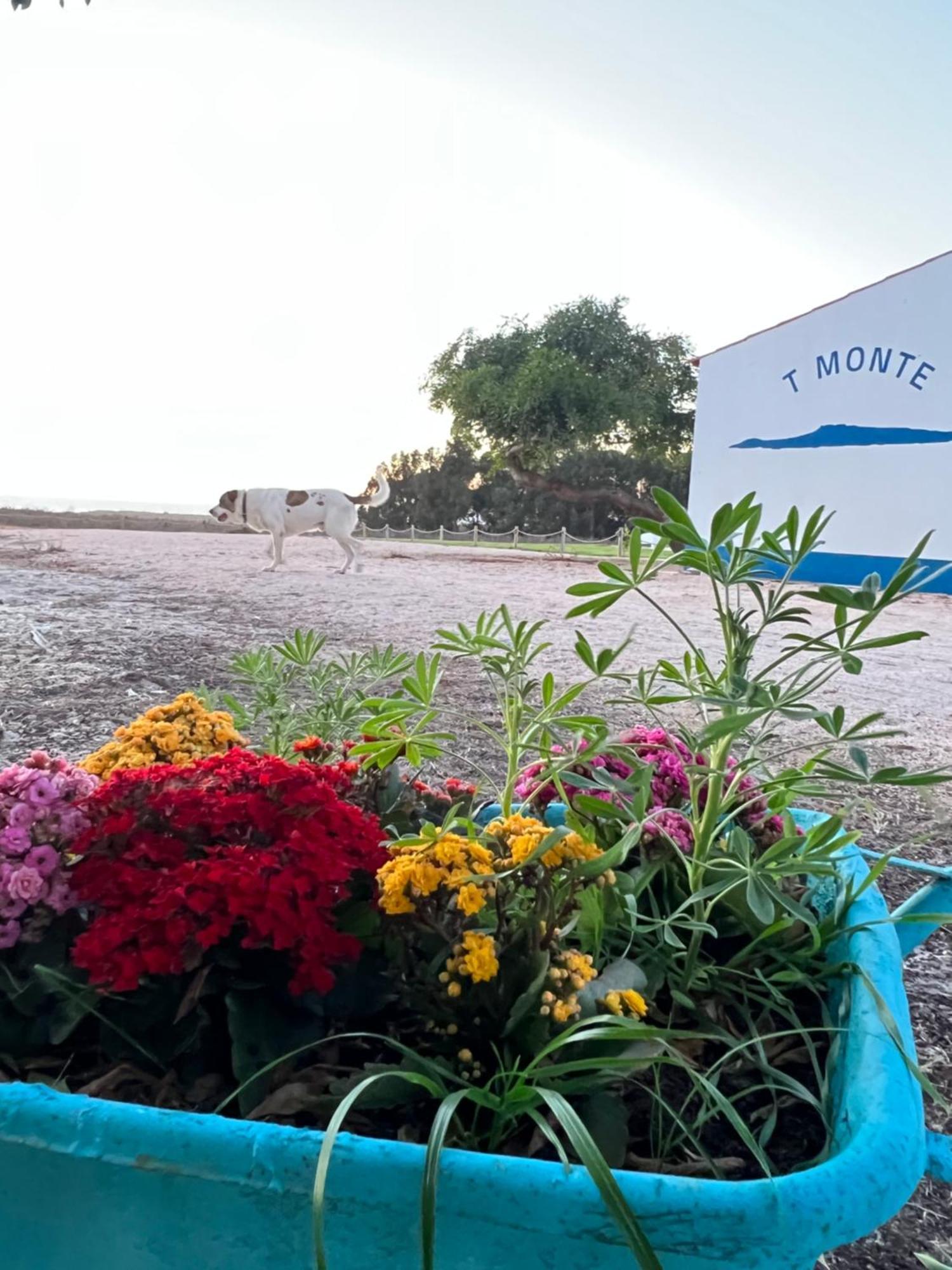 Villa T Monte Porto Covo Exterior foto